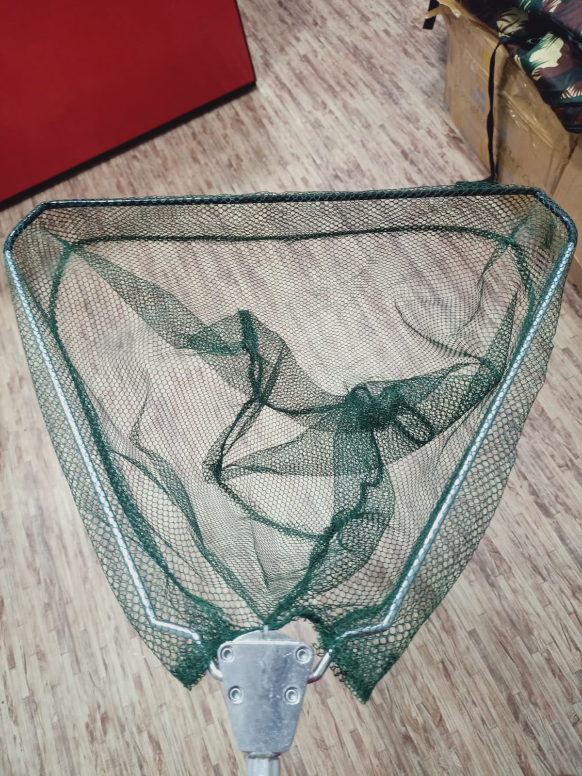 brachiosaurus in a fisher's net 2004 Brachiosaurus was a skilled fisherman. 