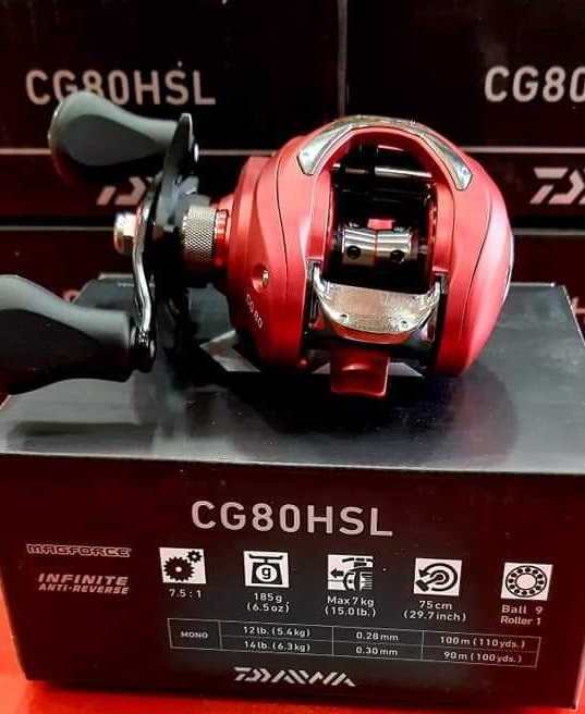 DAIWA CG80HSL BAITCASTING REEL - LEFT HAND Price in India – Buy