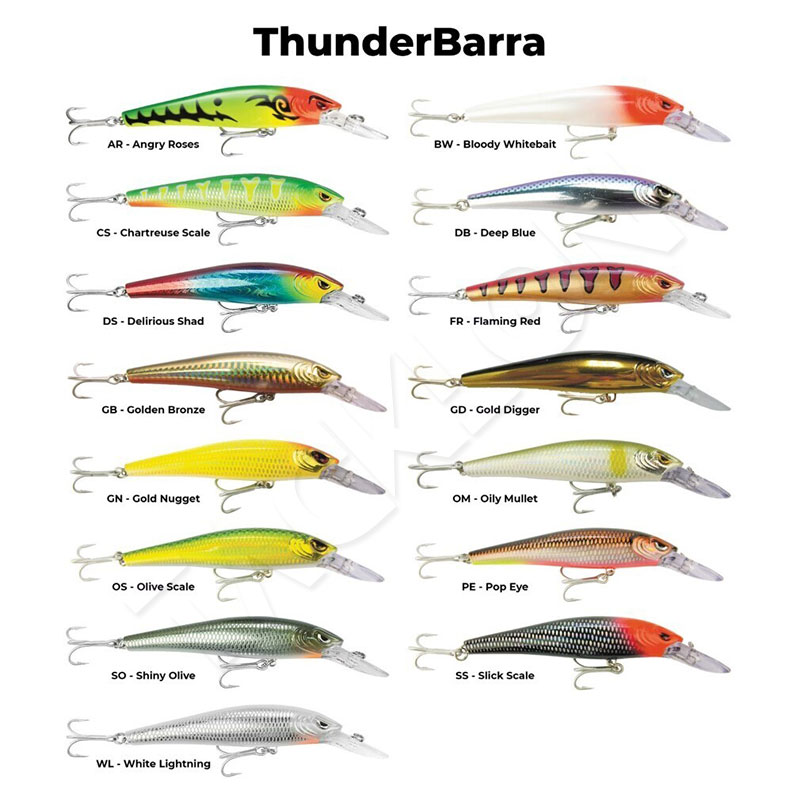 Storm Thunder Barra Deep Lure 110mm 25g Price in India – Buy Storm Thunder  Barra Deep Lure 110mm 25g online at